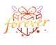 Forever Memory – Accueil